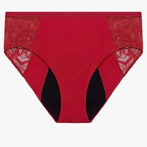 NWT Thinx Period Panty Brief - Picture 1 of 3